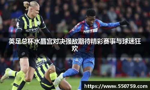英足总杯水晶宫对决强敌期待精彩赛事与球迷狂欢